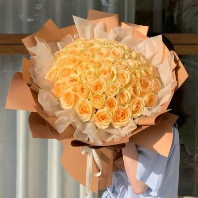 芳华闪耀